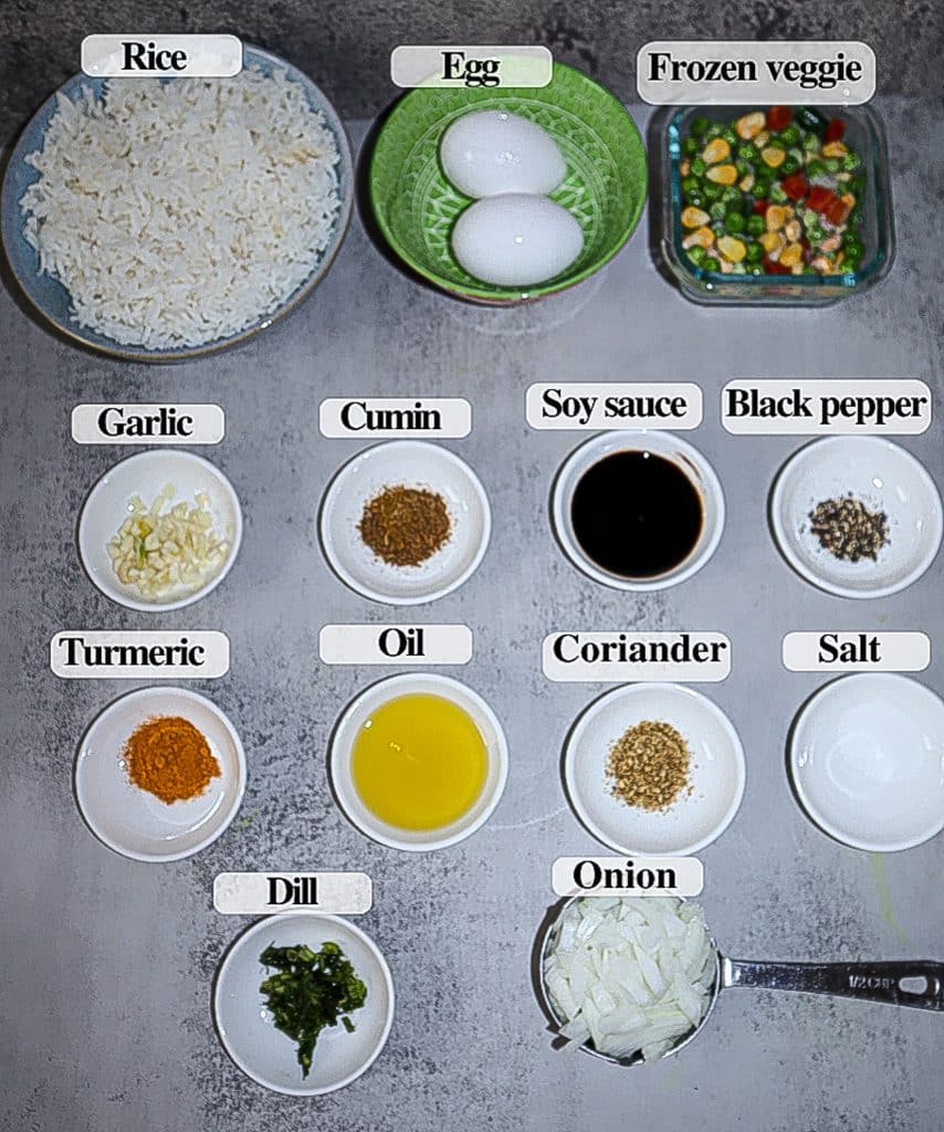 INGREDIENTS FOR MASALA EGG FRIED RICE