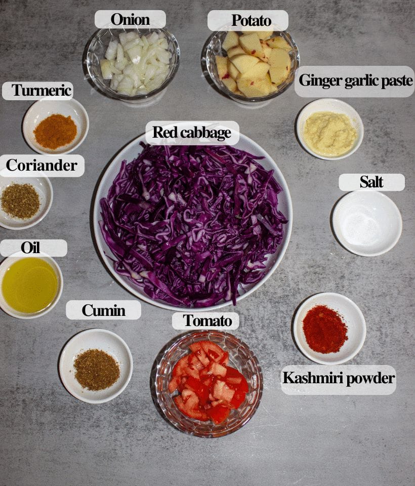 INGREDEINTS FOR RED CABBAGE POTATO CURRY