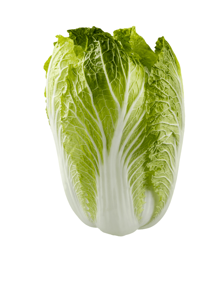 napa cabbage - is kimchi the same as a pickle