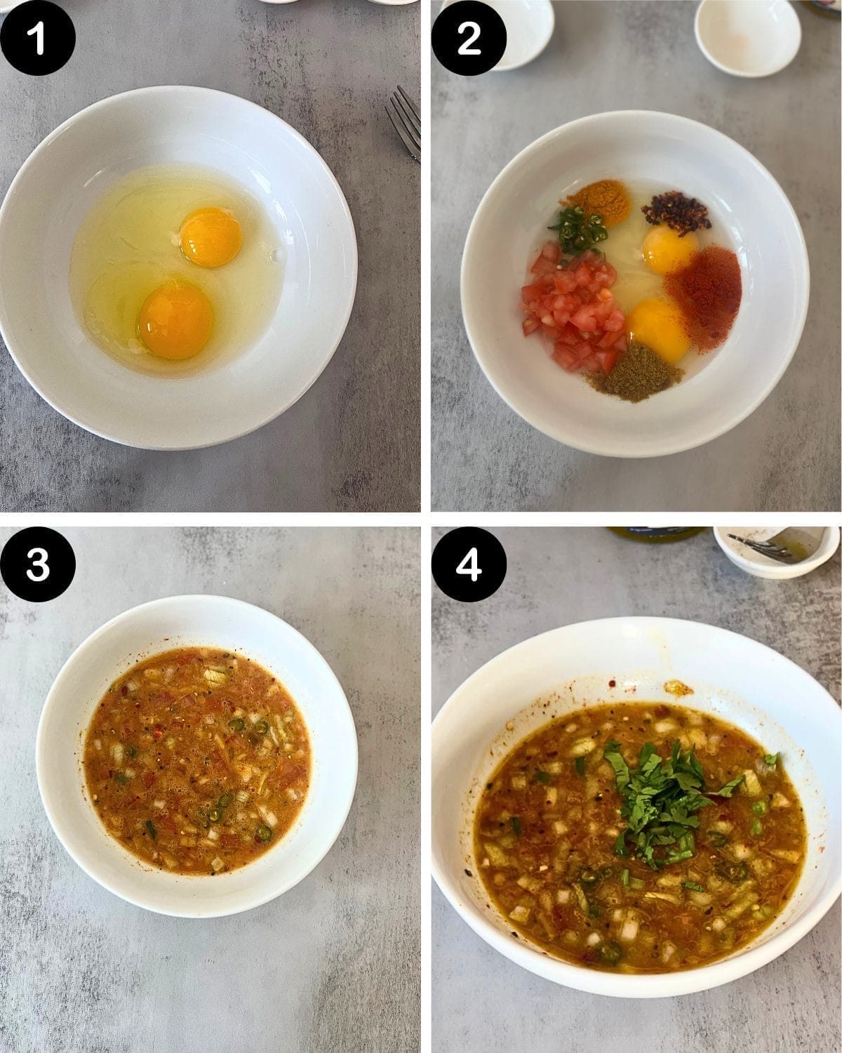 MASALA OMELETTE 1- 4