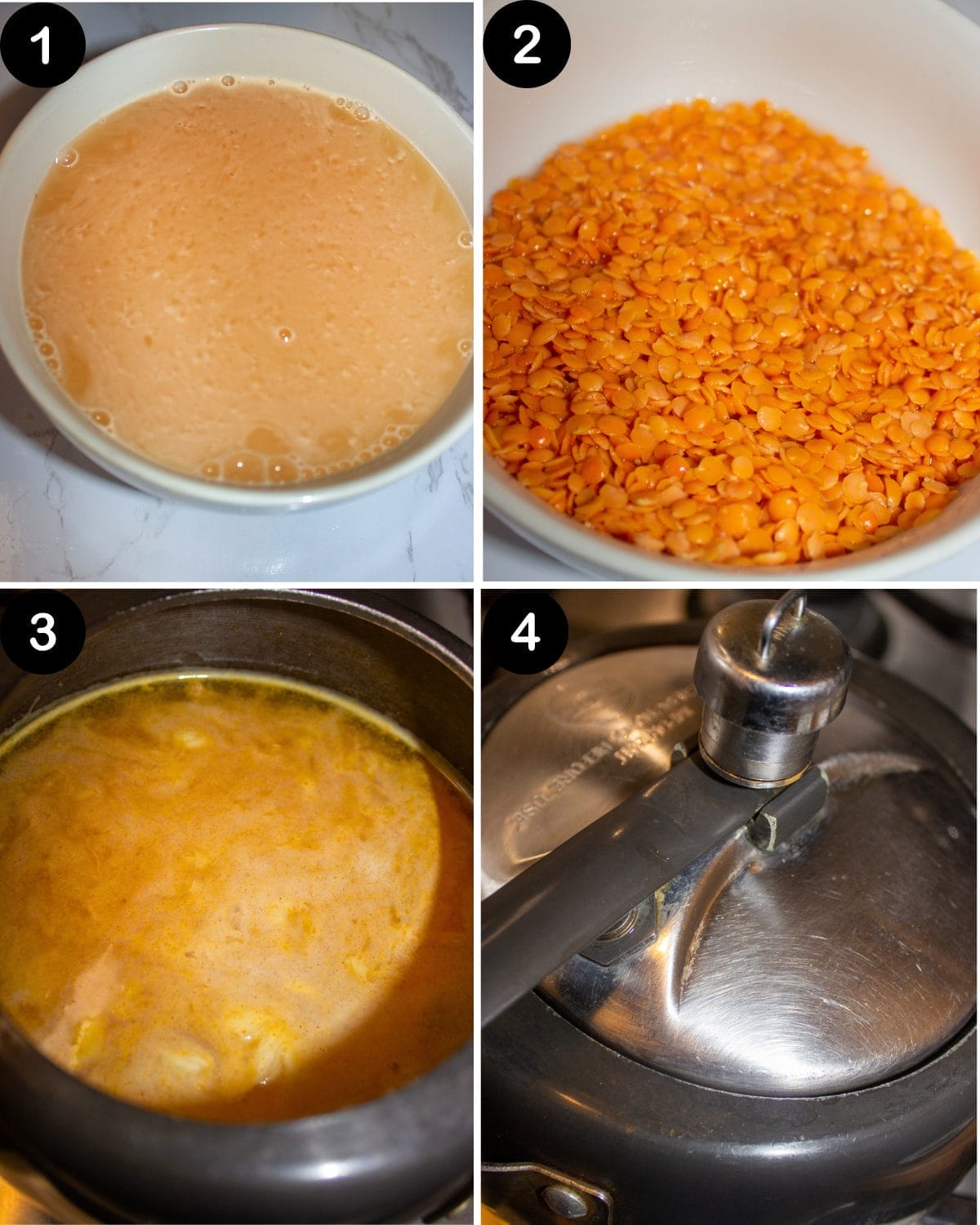 RATO DAL SETP 1 - 4